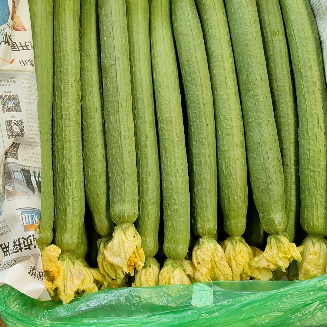 走自己的路，让别人去说吧！