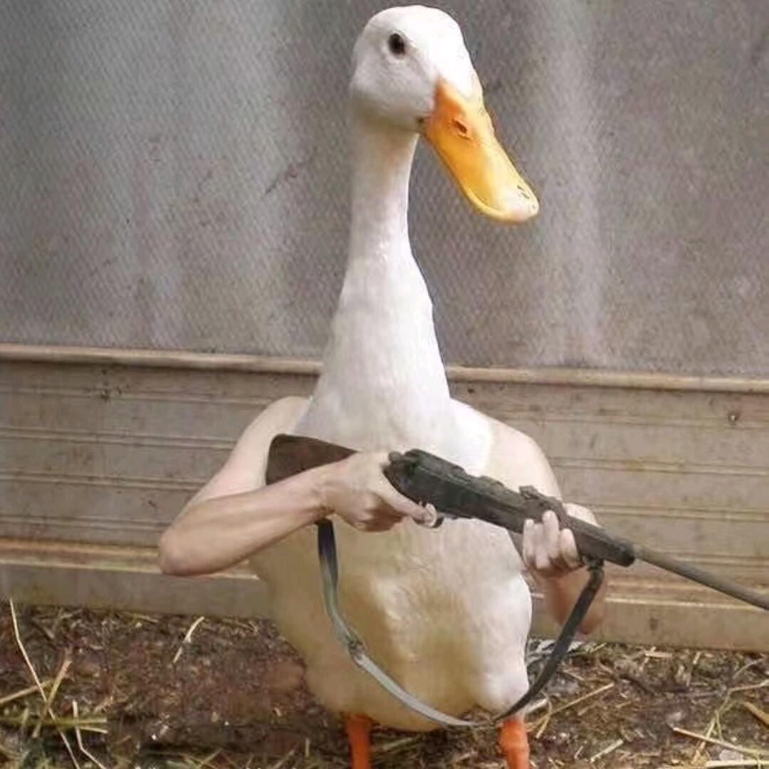 三水有辆斯柯达 (收藏)