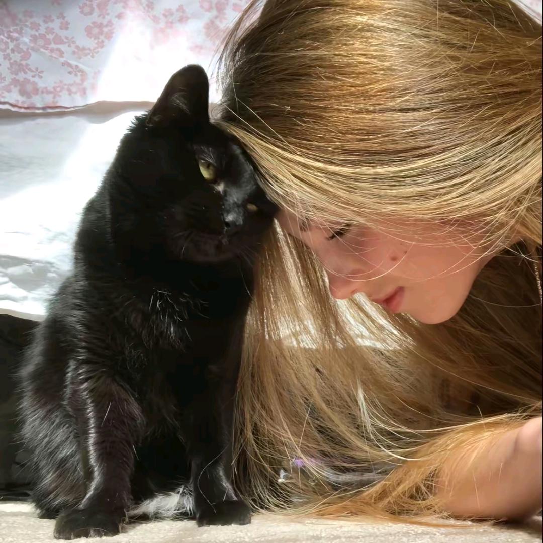 天津在逃折耳根