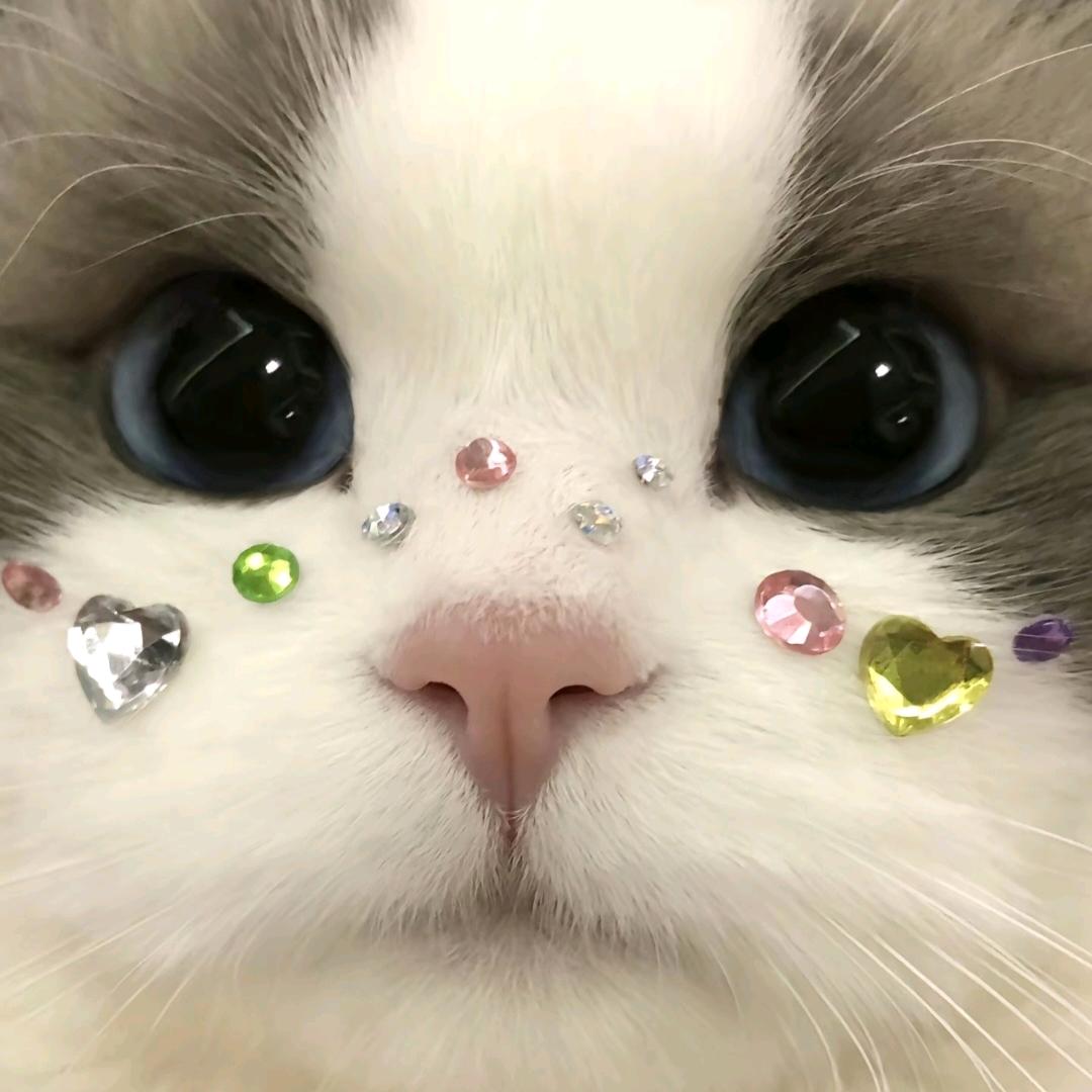 嘻嘻.
