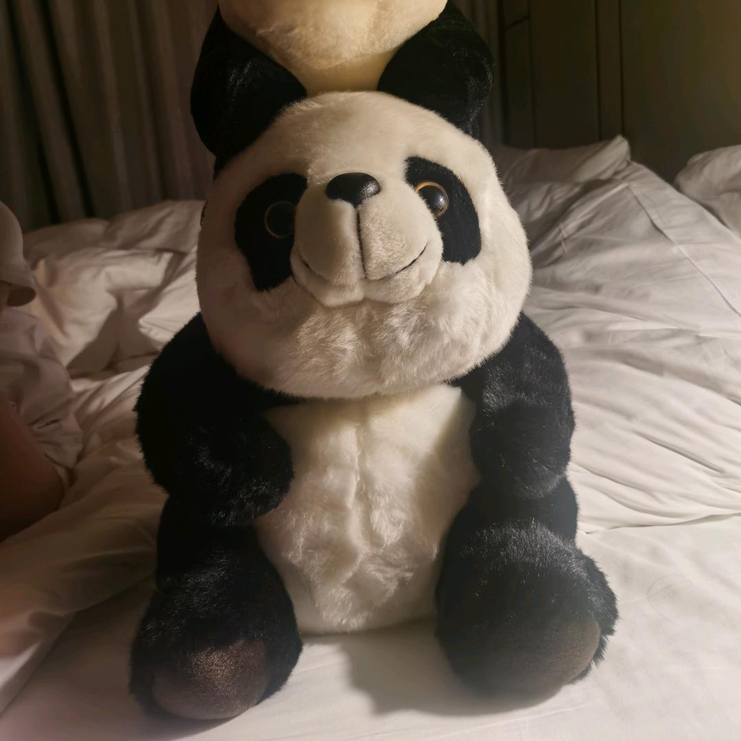 爱弹琴的丸子姐