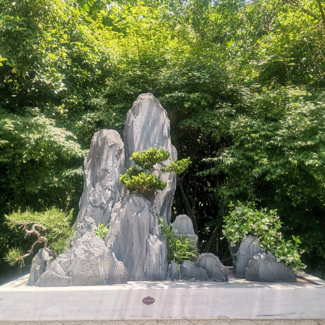 陈明会
