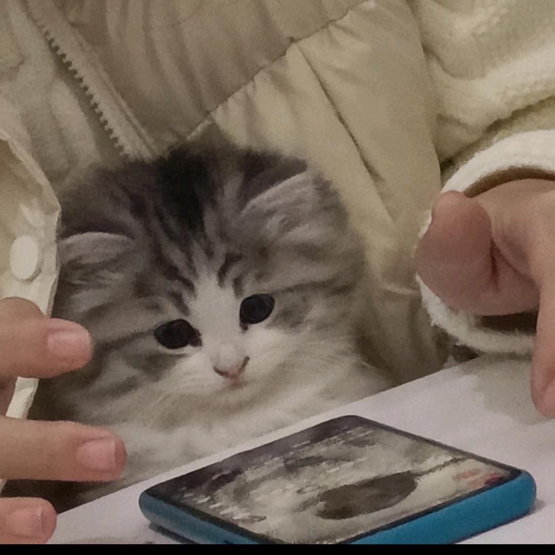 咪咪丫