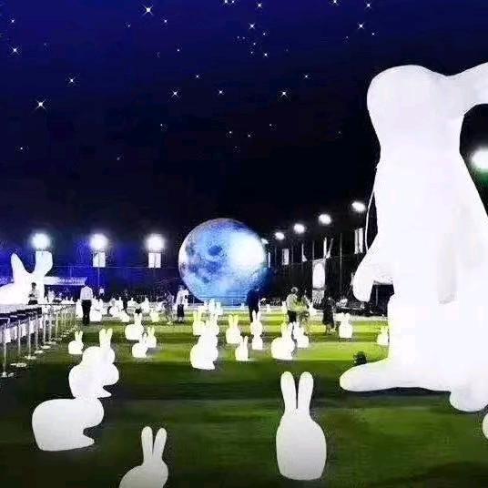 运筹帷幄鲸鱼ws
