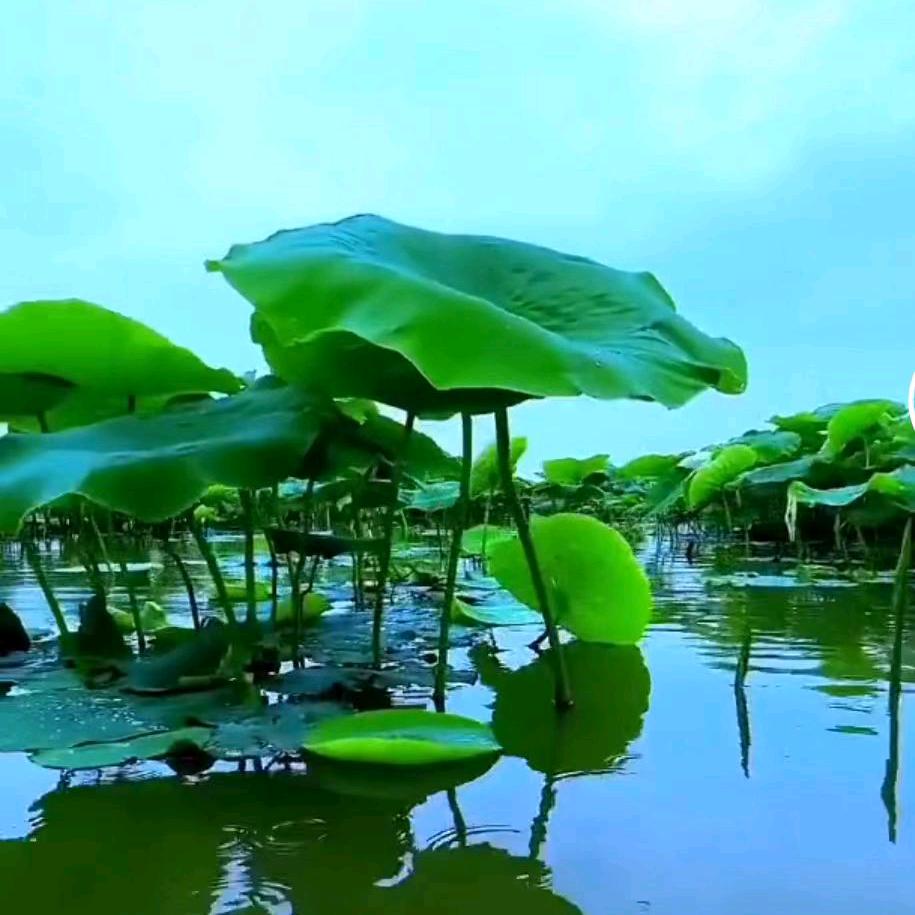 淮河两岸