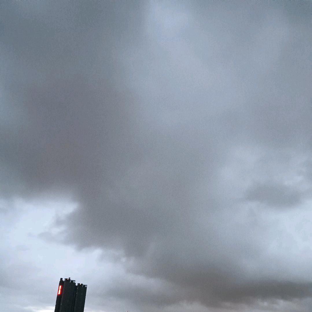村长