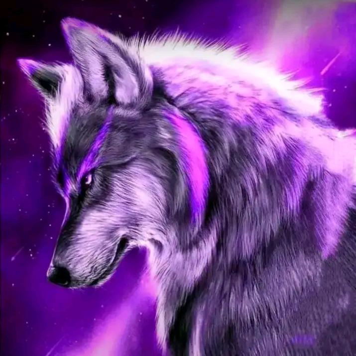 两把刷子！（辣笔小心）