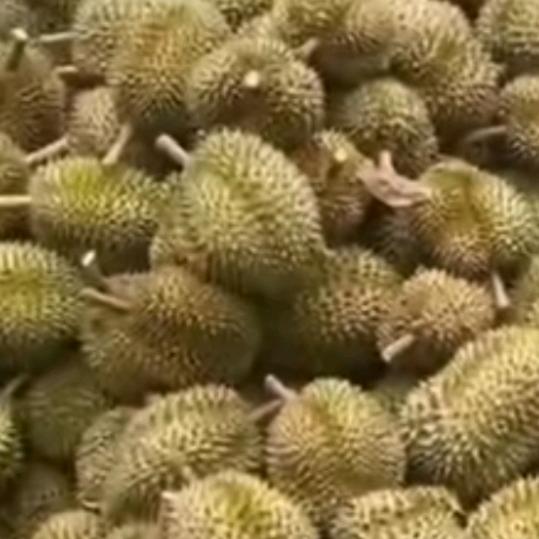 新时代