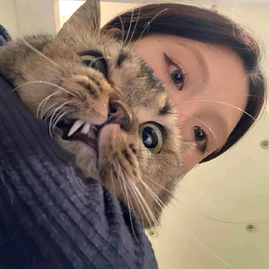 🐽