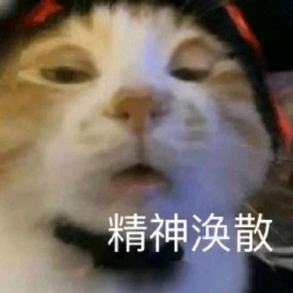 呼呼飞机