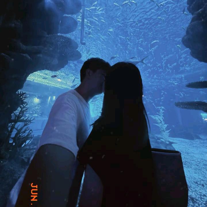 藤原拓海♞
