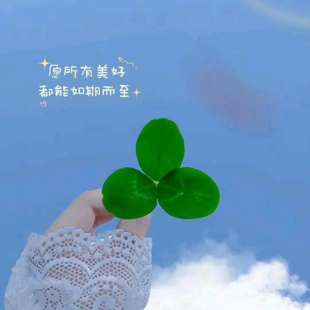 尘香好物