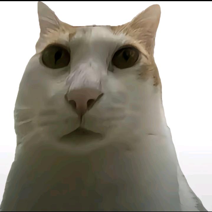 泽城千佳