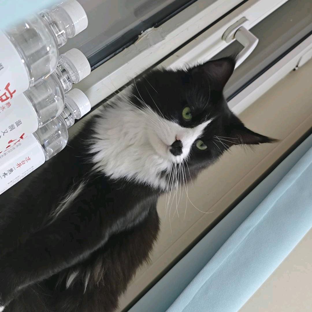 思恩