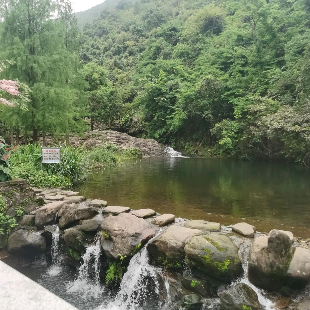 瑞士名牌腕表小店