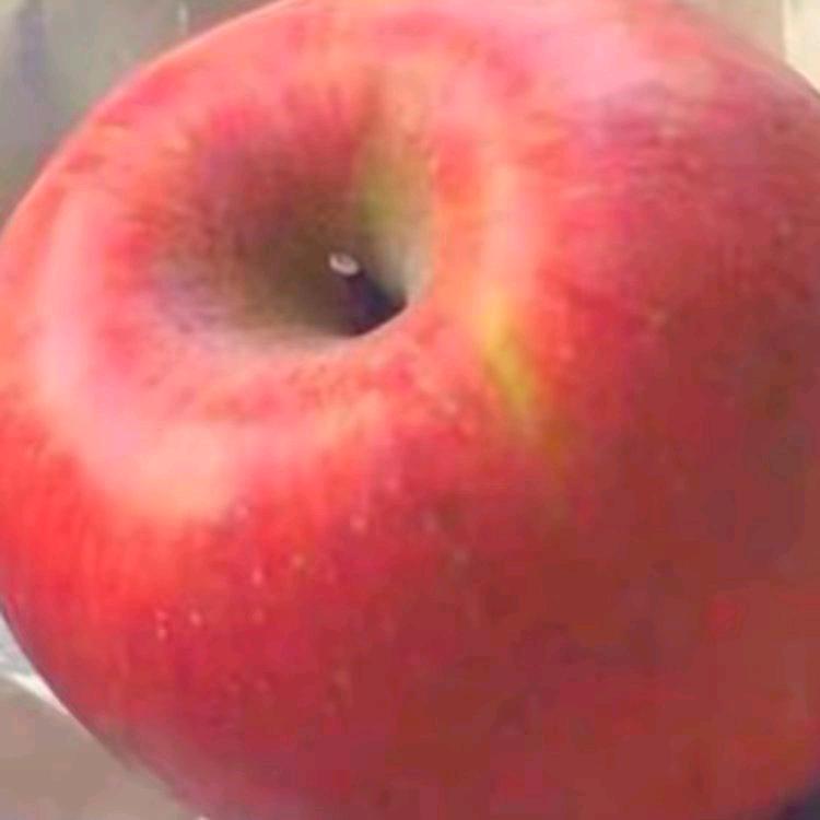 .     w