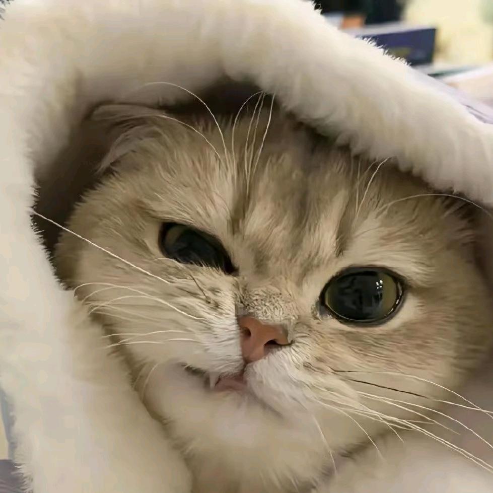晚点喝可乐