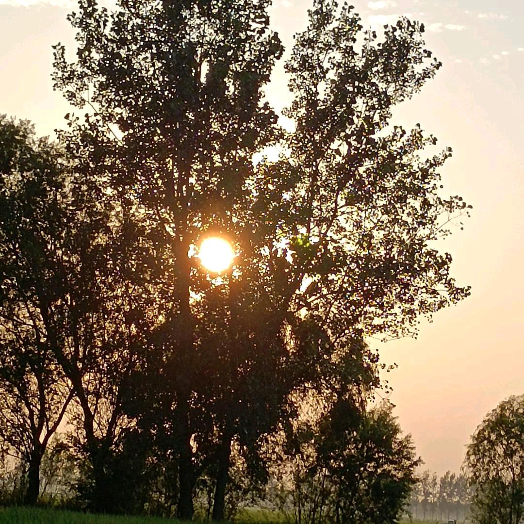 ⭐️满眼星陈⭐️