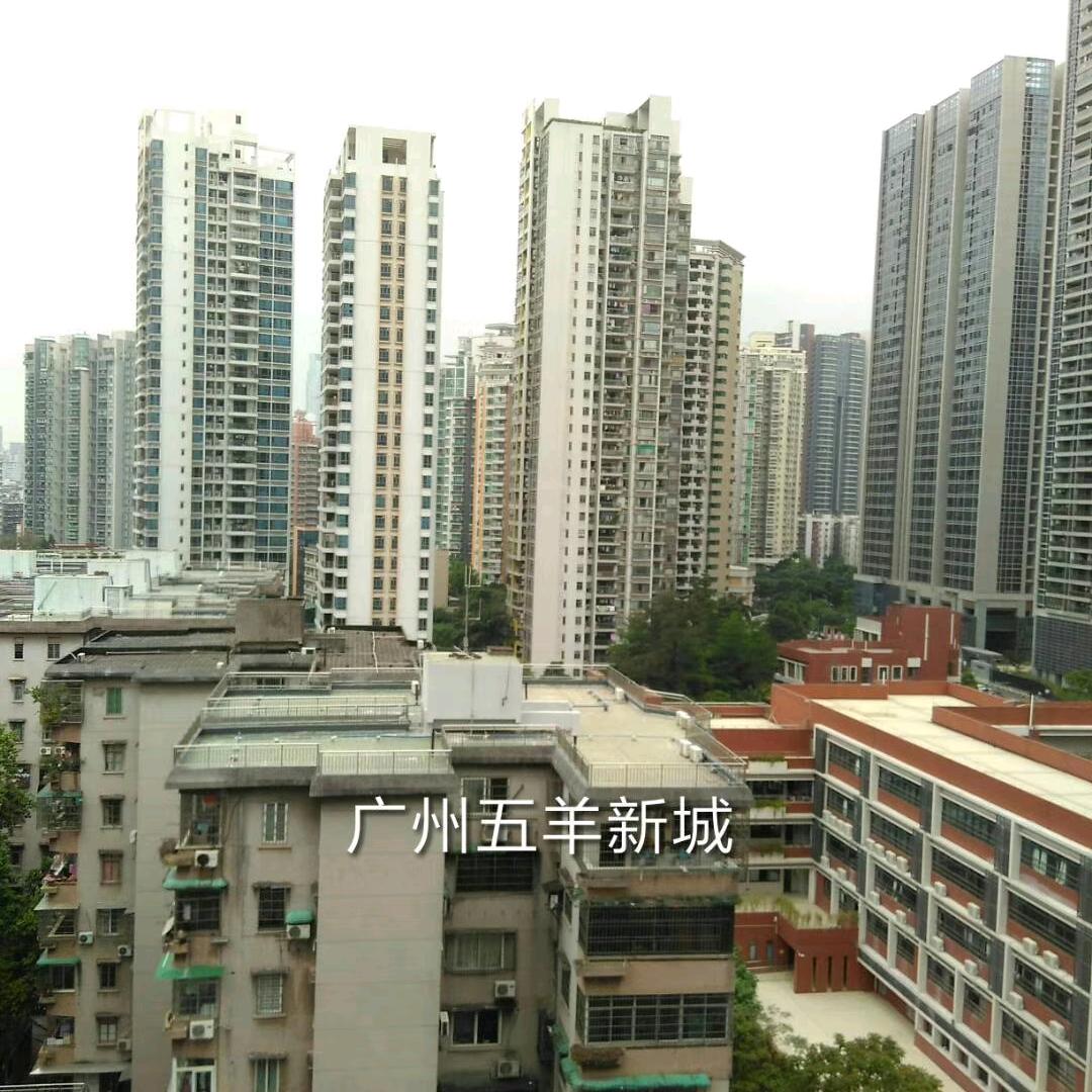 黄九叔