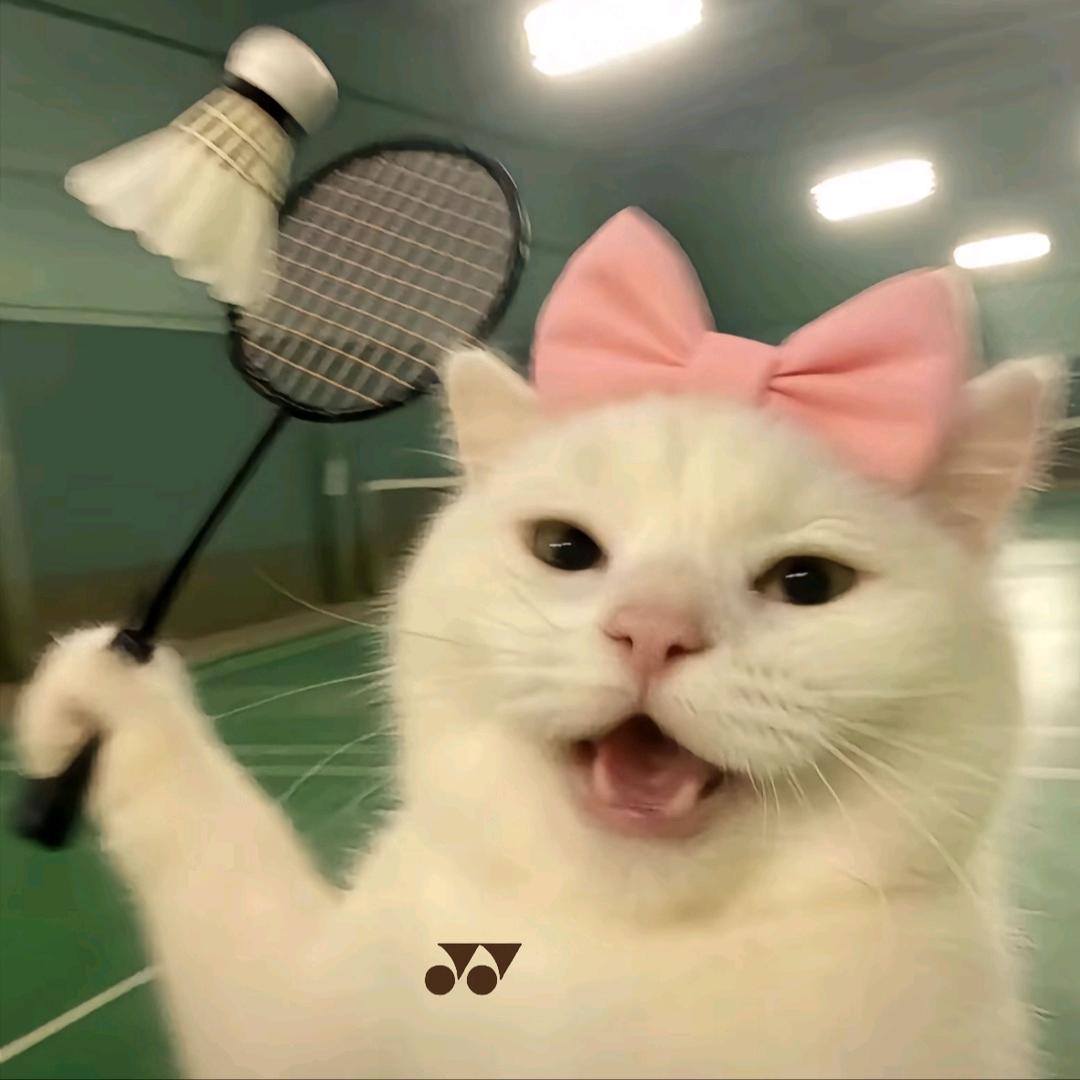 嘻嘻不下网🏸