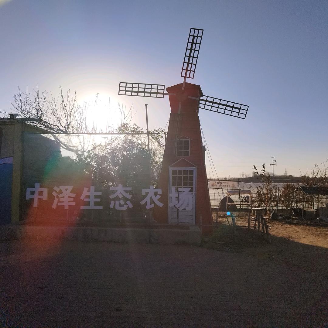 中泽农场