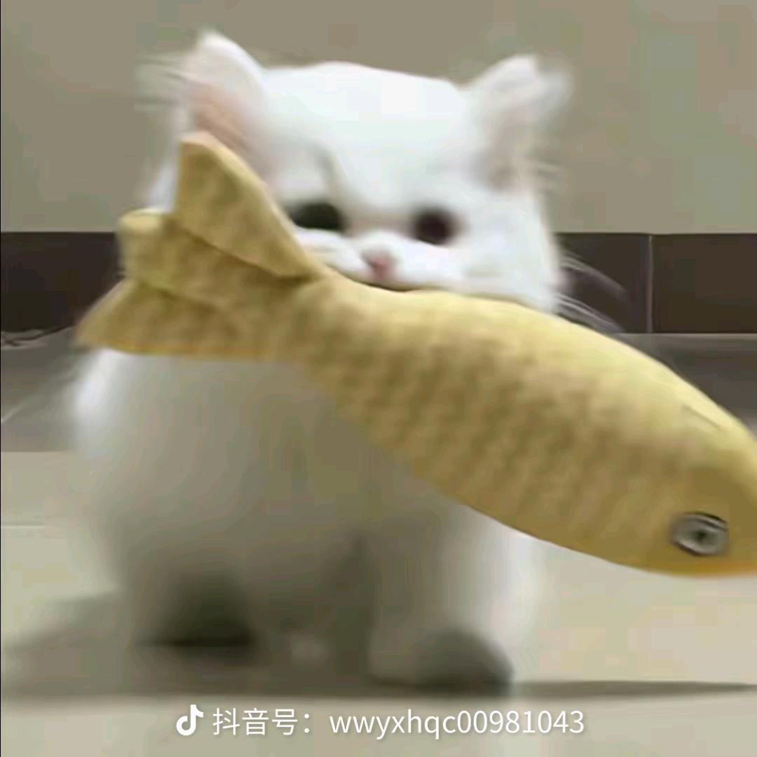 每天早点睡