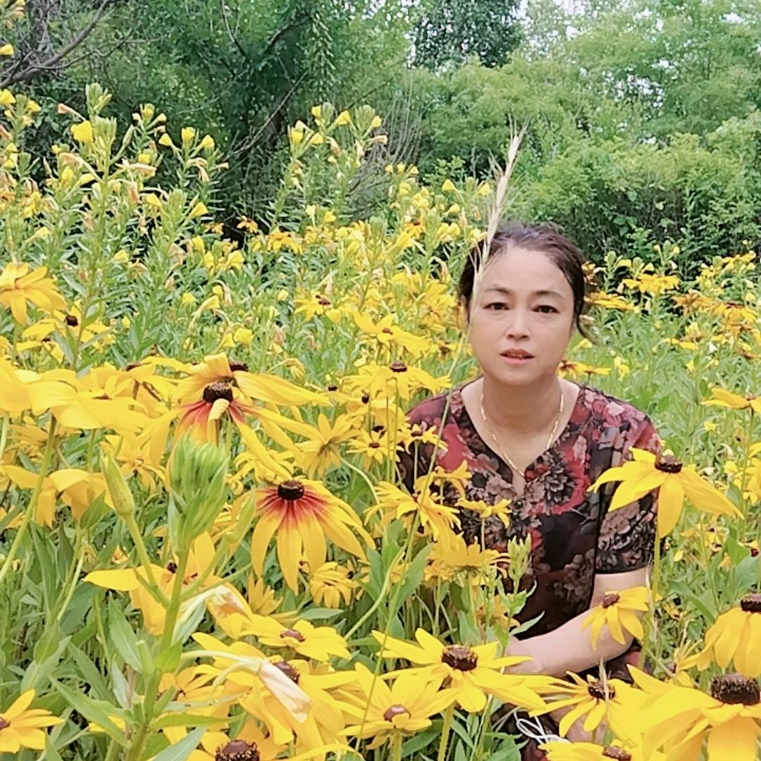 金达莱