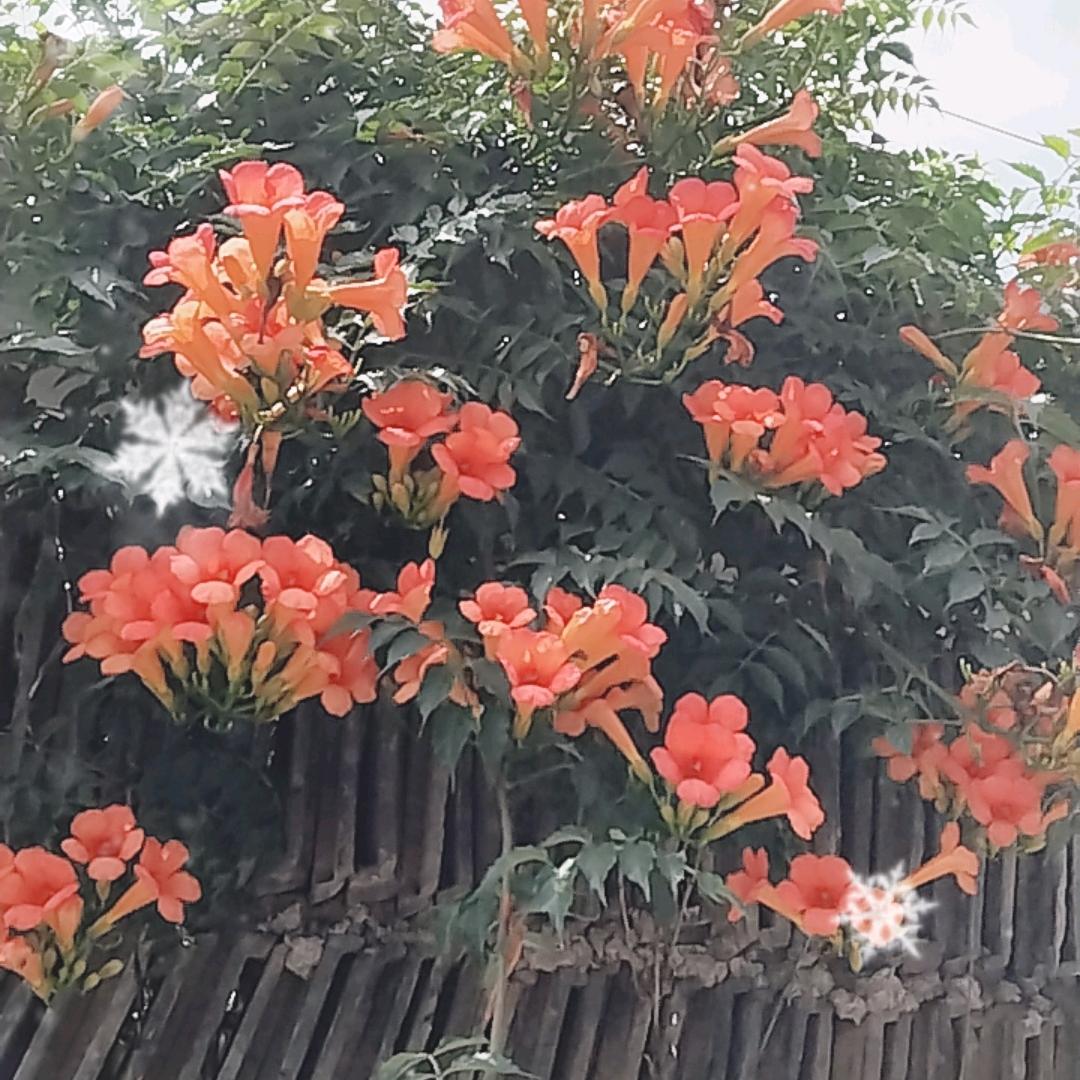福杯满溢姊妹