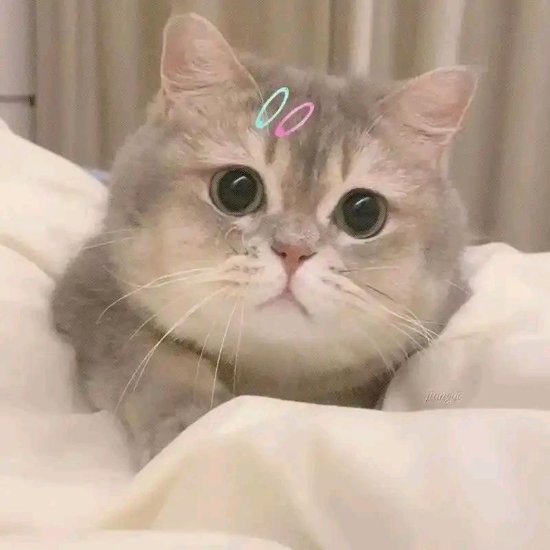 。