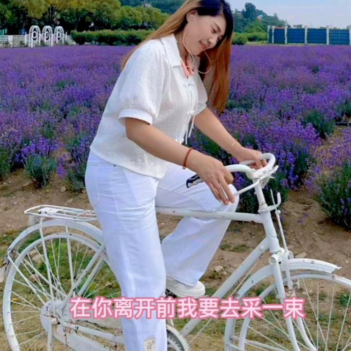 燕子没烦恼，你来了一阵子