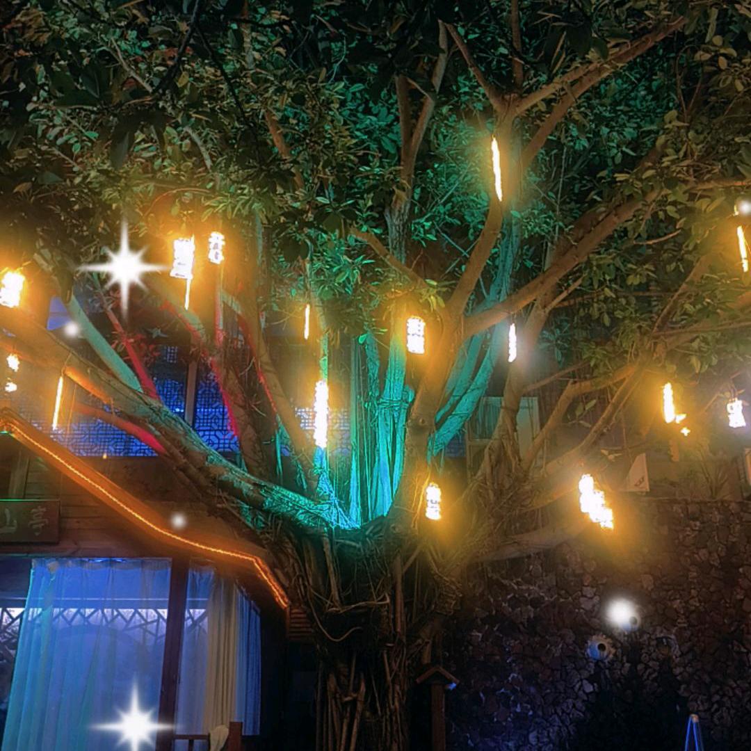 : 💞乖ღ᭄不如野꧔ꦿ᭄💞