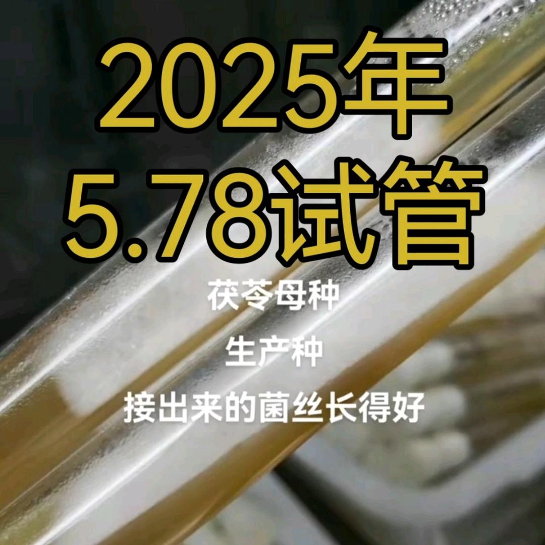 澜沧程午开宇