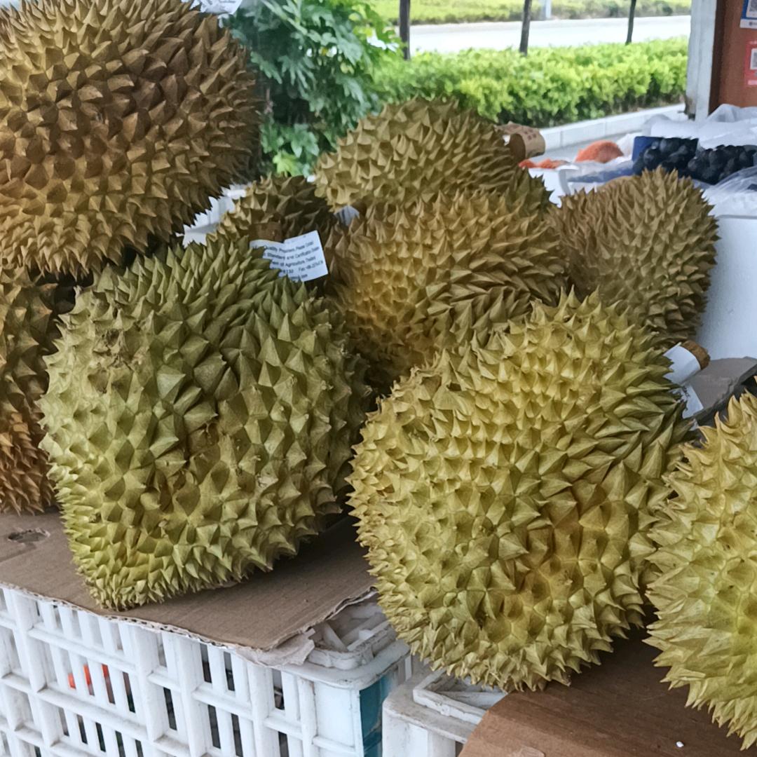 阿明