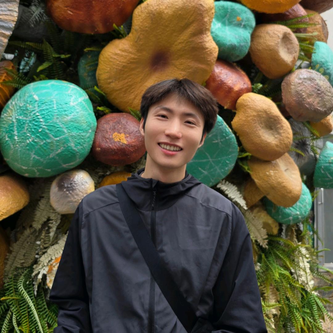 尚瓷汇叶龙