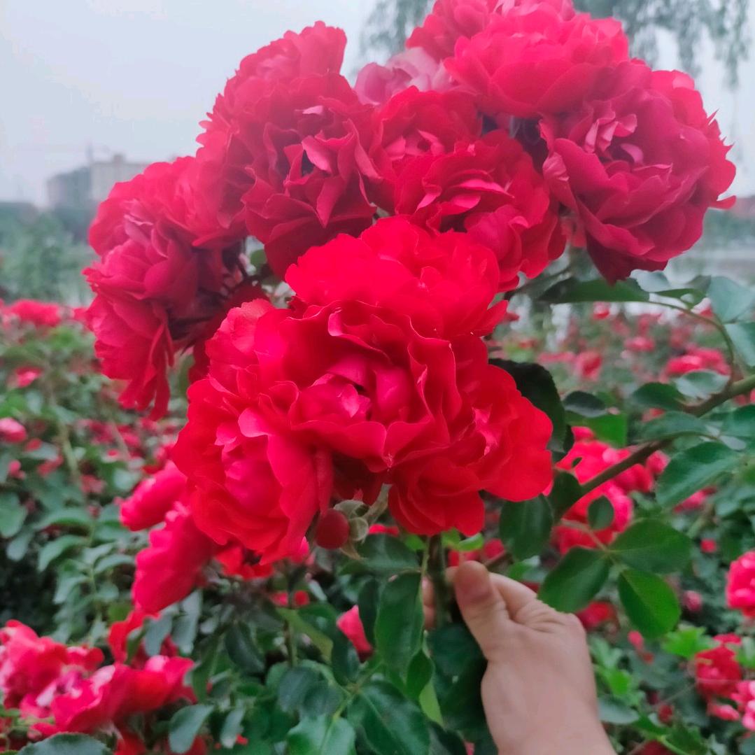 🌧️雨过天晴☀