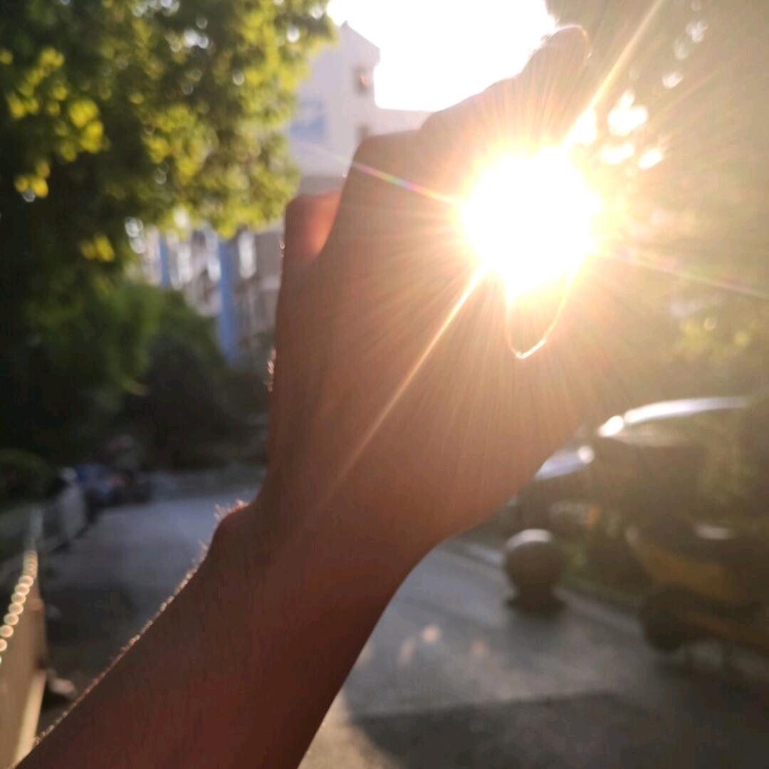 白茶清欢