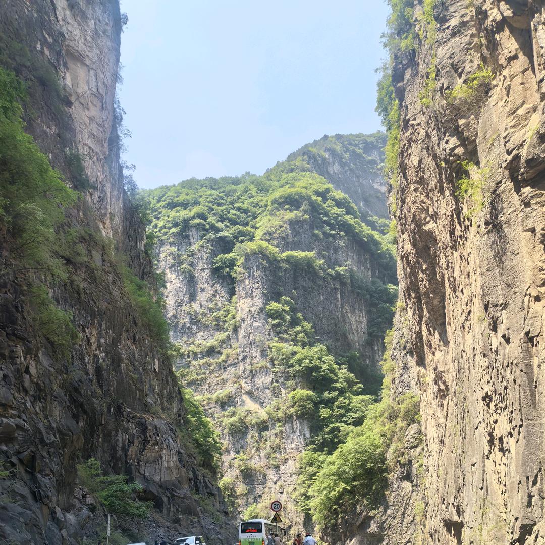 大黄集联通营业厅