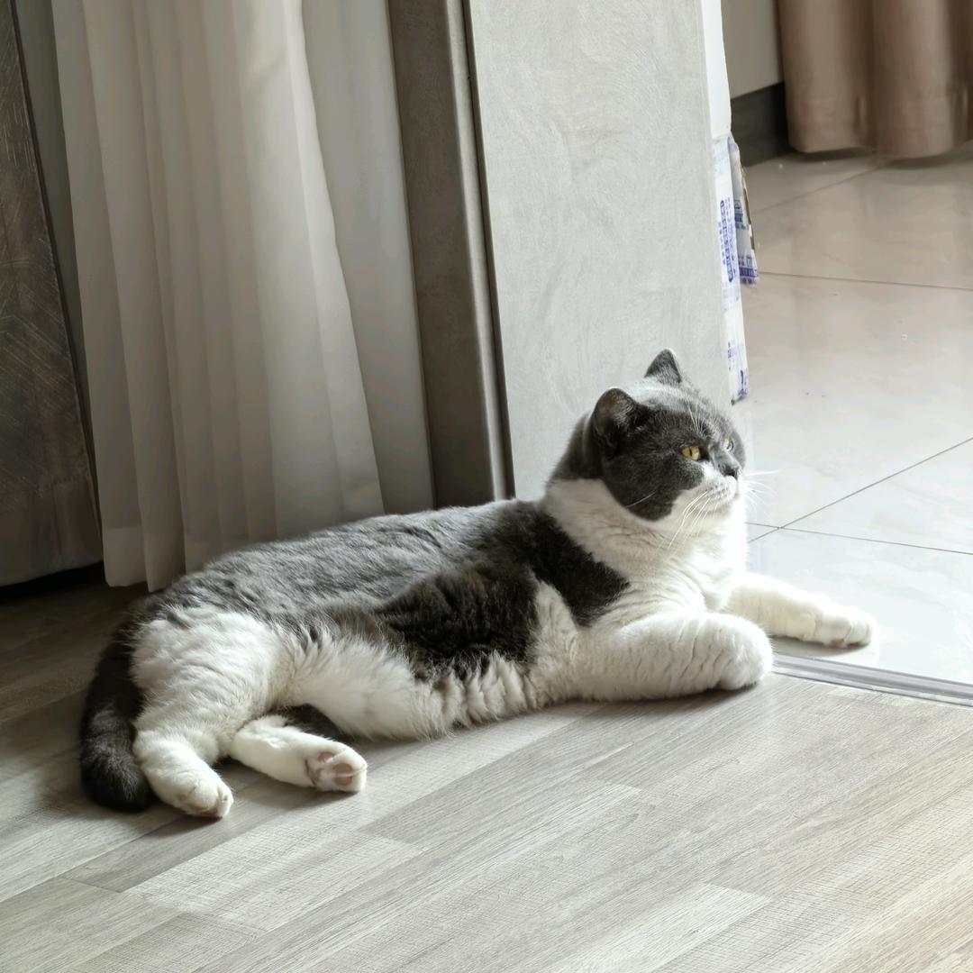 🌈否极泰来🌈