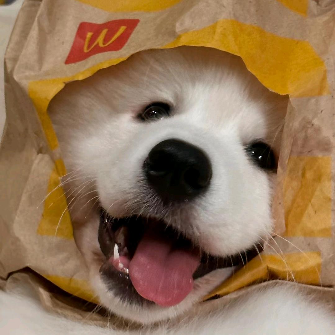 来份蛋挞挞挞挞挞