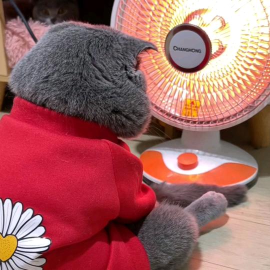 风吹到哪页我就读哪页哪页我读不懂就撕了它