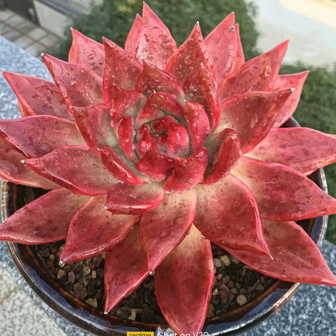 财🌺源🌹广🌻进🥀🐰🐰