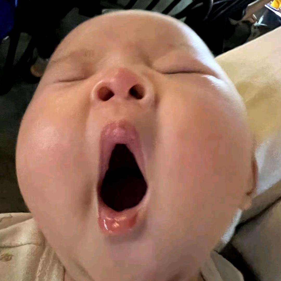 hhxhx