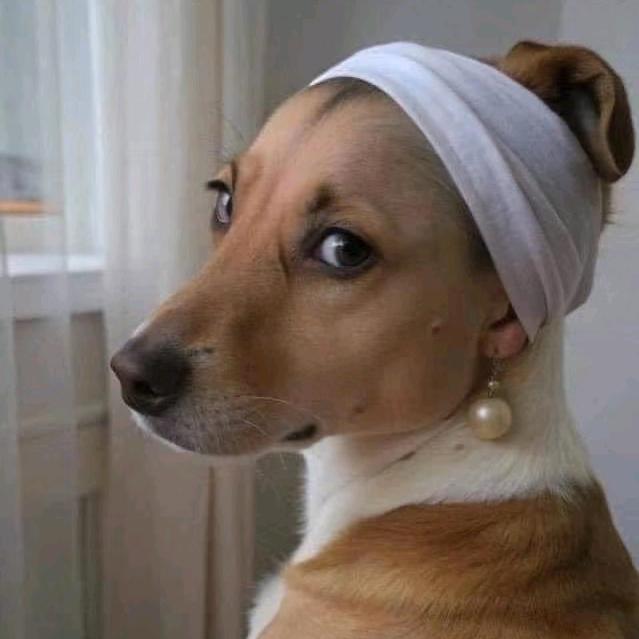 打死我也想不起叫啥