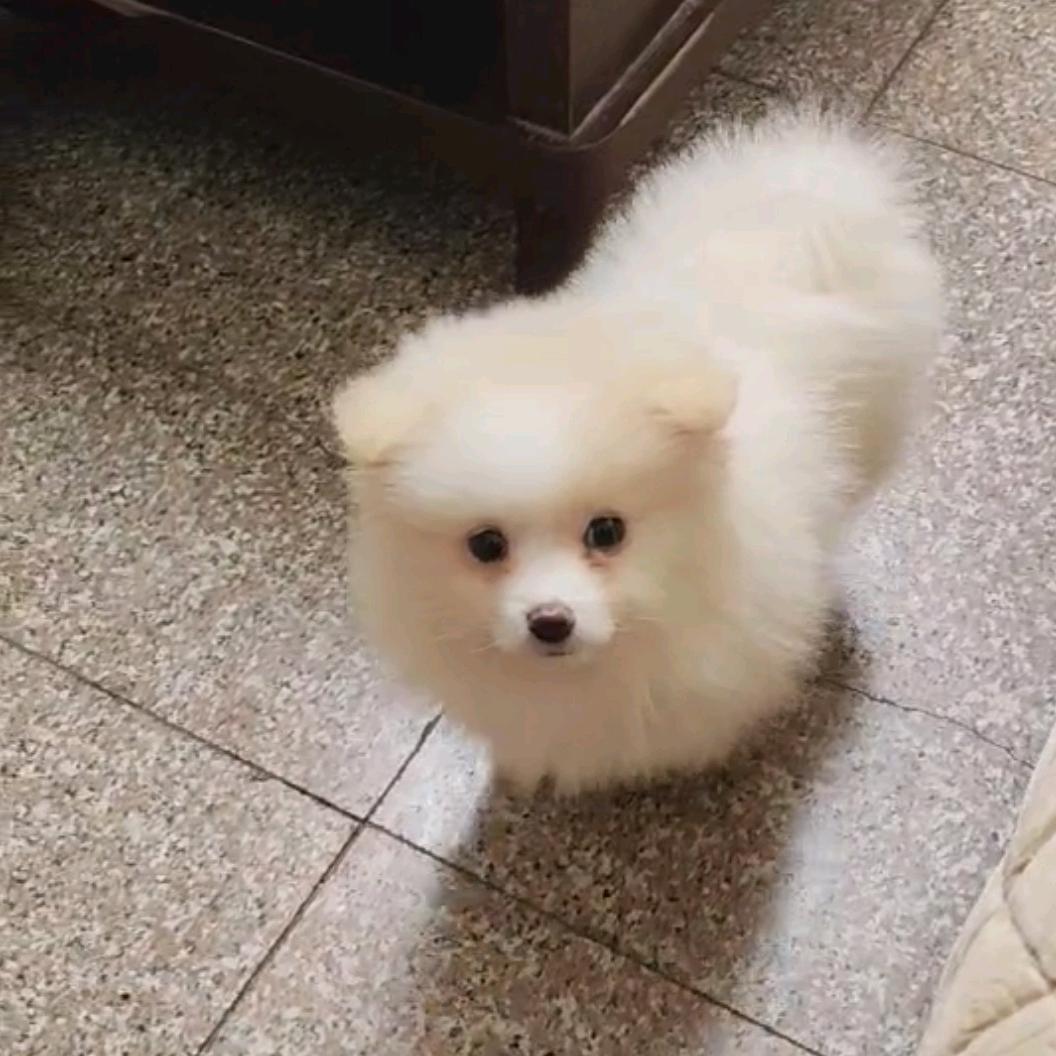 ①⑵⒊朩頭亾
