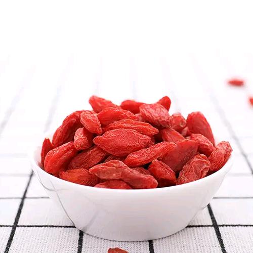 地豆哥