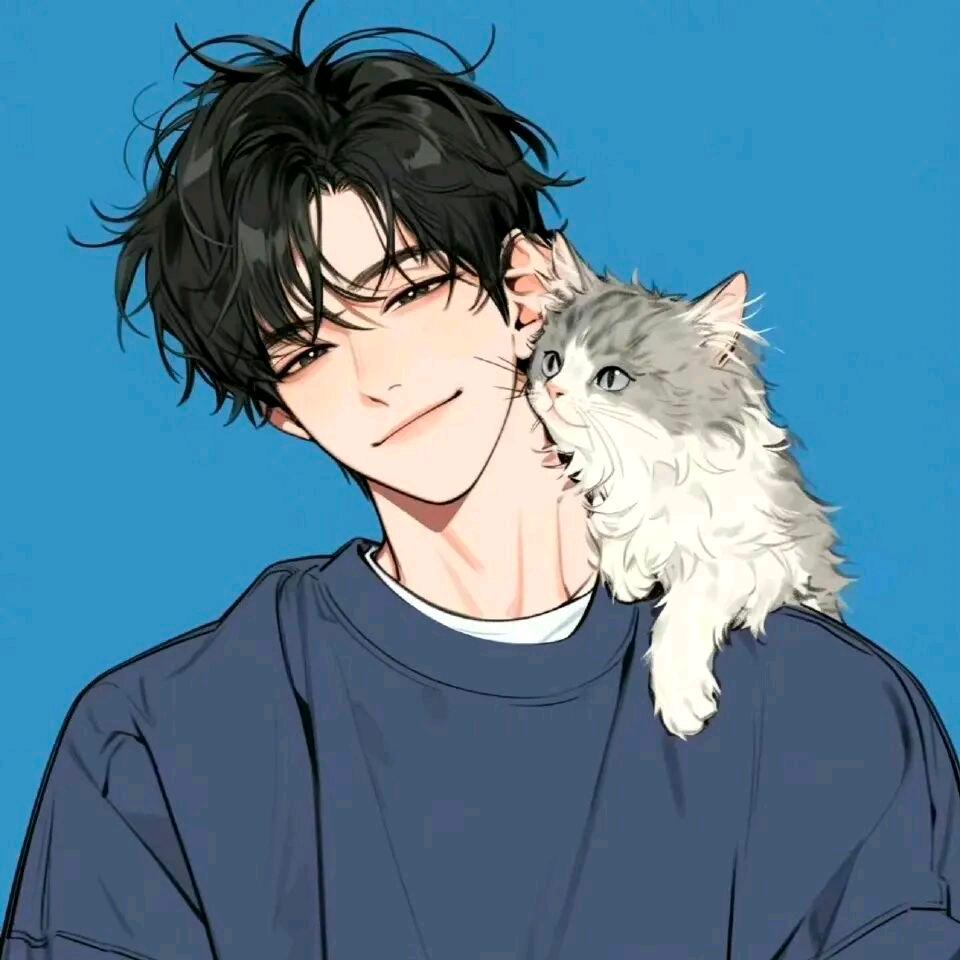 猫十一