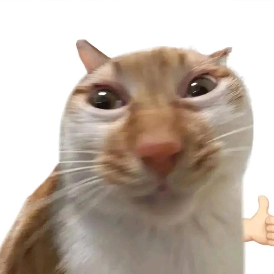 土豆啃