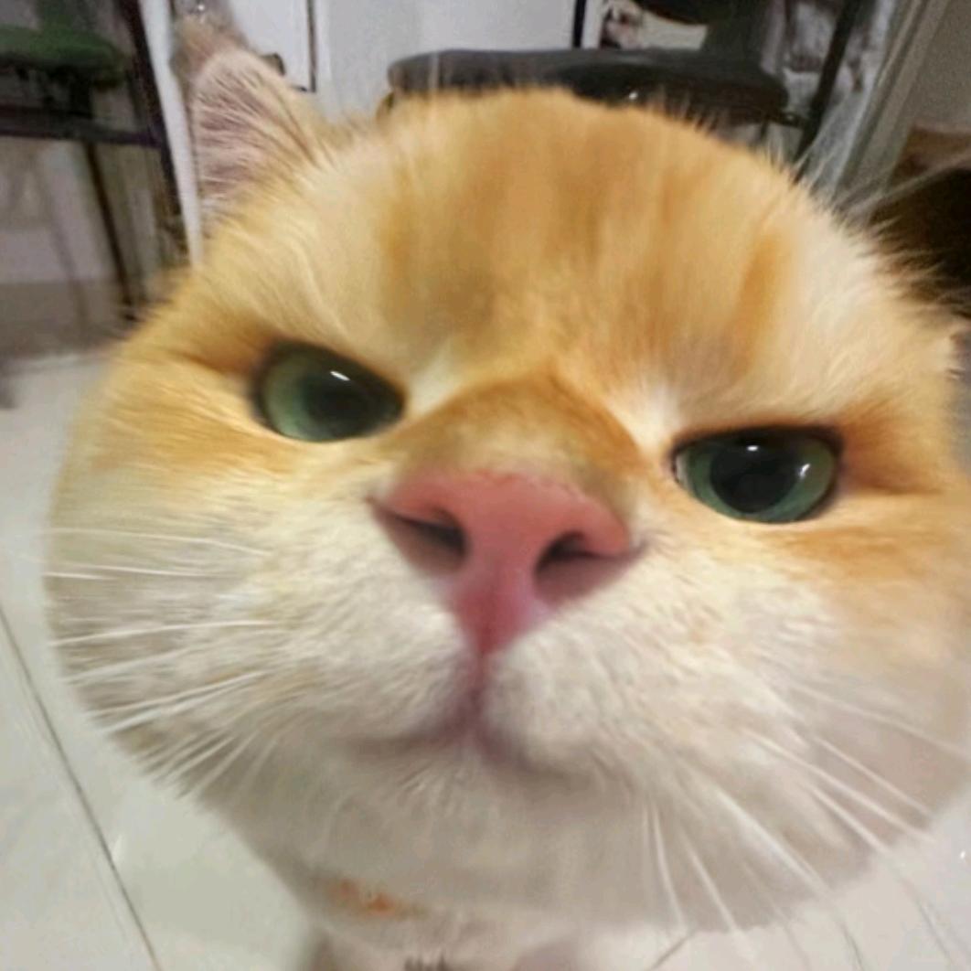 麻辣锅包肉