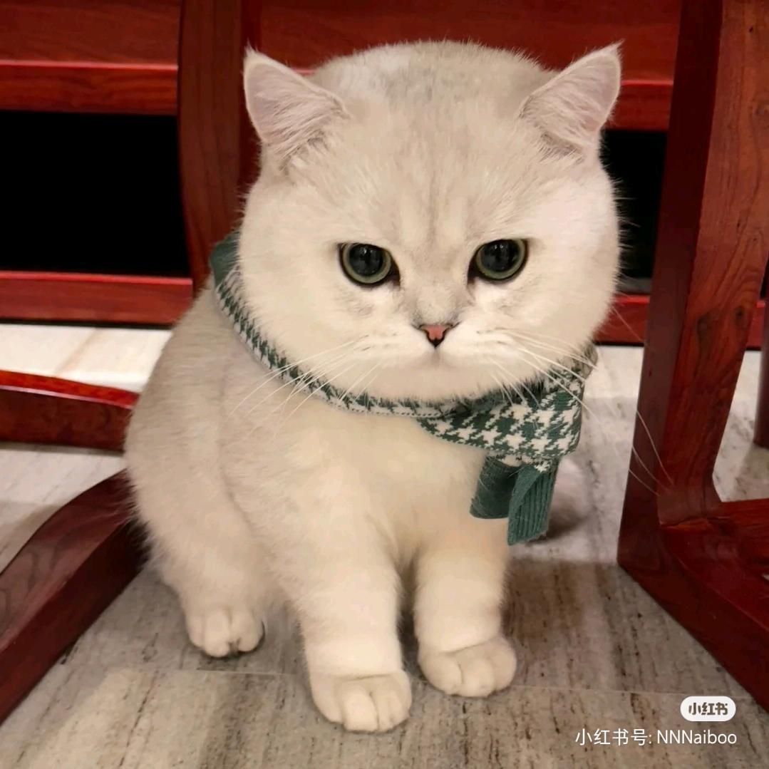 倒头就睡超级牛