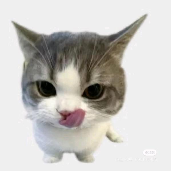 荔柯